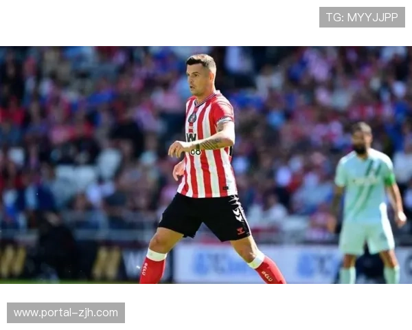 升班马桑德兰半程28分创奇迹，主场不败比肩阿森纳